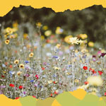 gardening workshop haddstock 2026